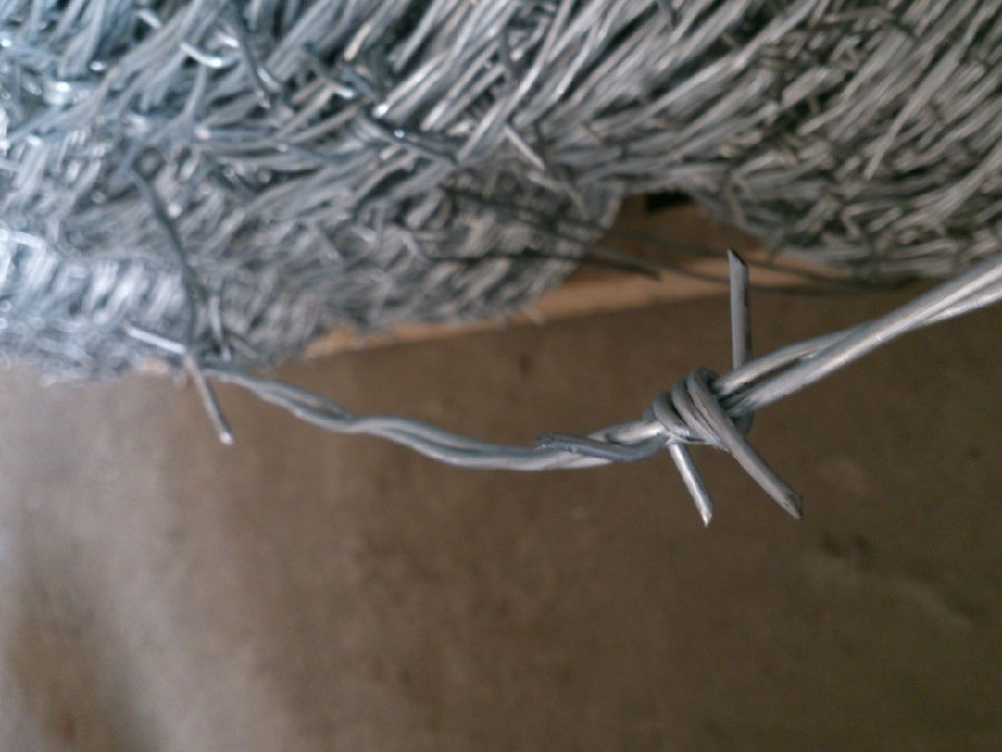 帶刺鐵絲網圍欄 帶刺鐵絲網圍欄