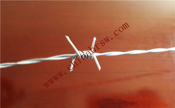 不銹鋼刺繩 不銹鋼刺繩