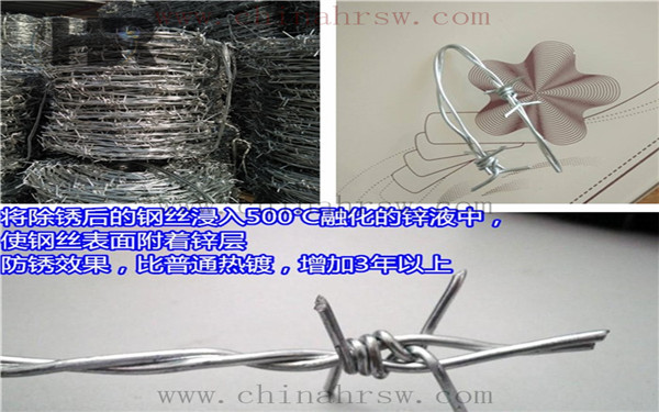 熱鍍鋅刺繩 熱鍍鋅刺繩