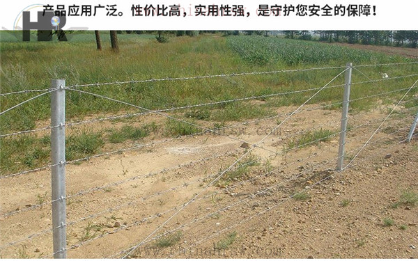 刺繩防護(hù)網(wǎng) 刺繩防護(hù)網(wǎng)