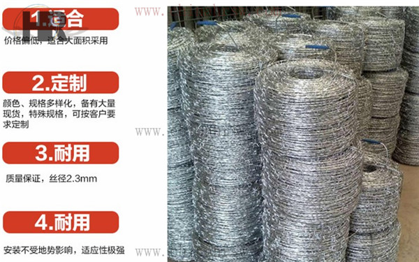 鐵蒺藜防護網(wǎng) 鐵蒺藜防護網(wǎng)