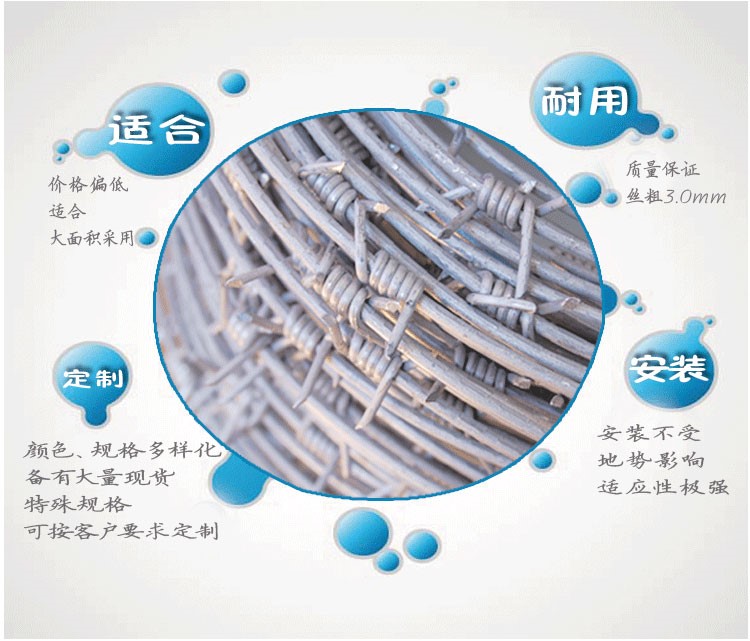 帶刺鐵絲網(wǎng) 帶刺鐵絲網(wǎng)