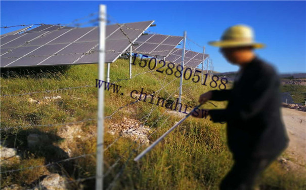 刺繩防護網(wǎng) 刺繩防護網(wǎng)