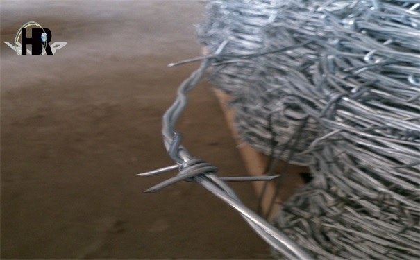 DSC_0325.jpg DSC_0325.jpg