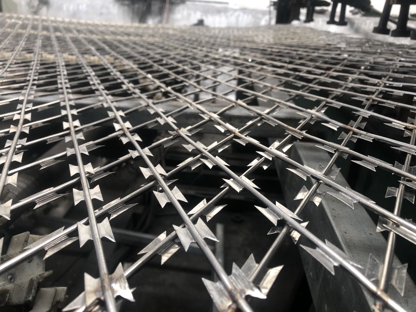 刺網(wǎng) 刺網(wǎng)